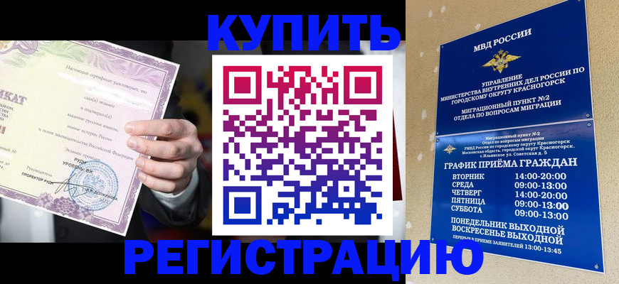 временная регистрация собственник в Светлом